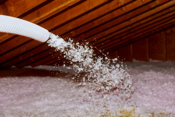 Best Specialized Insulation Services in Pu, HI