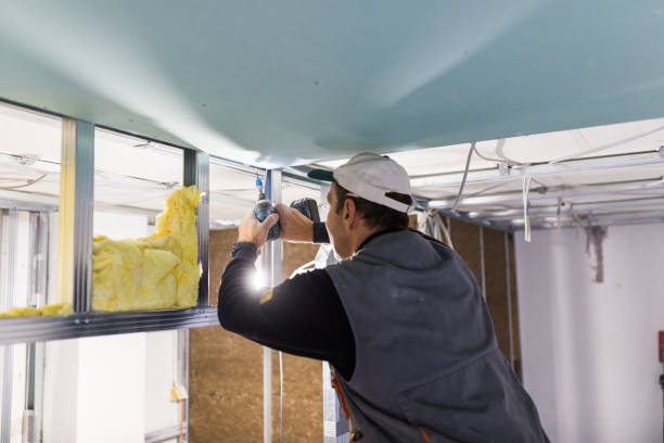 Types of Insulation We Offer in Puhi, HI